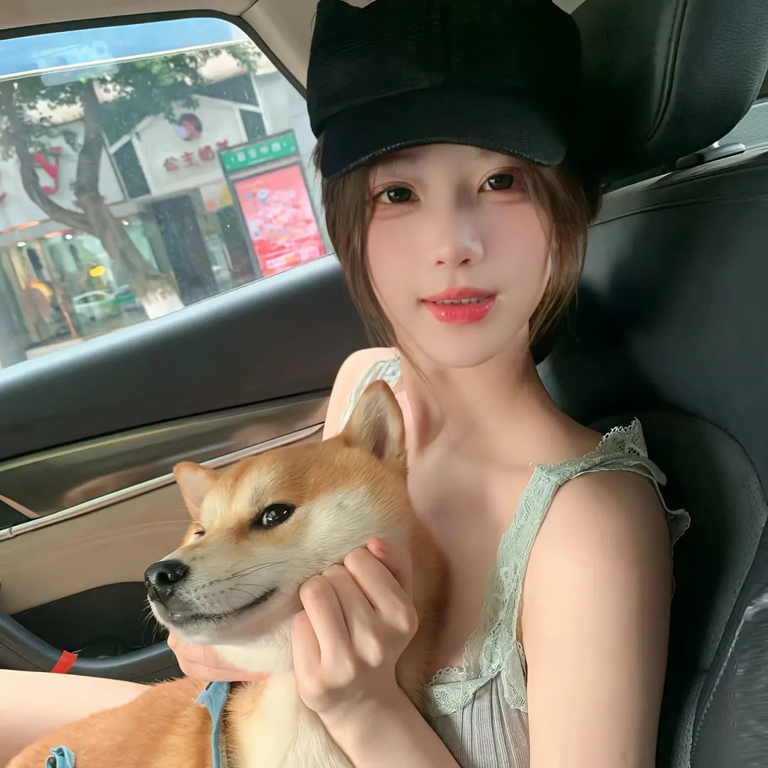 独库夜未眠
